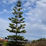 Agnandi * Néos Pírgos