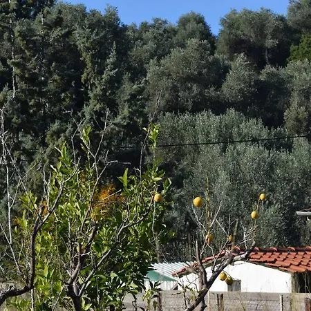 Agnandi * Néos Pírgos