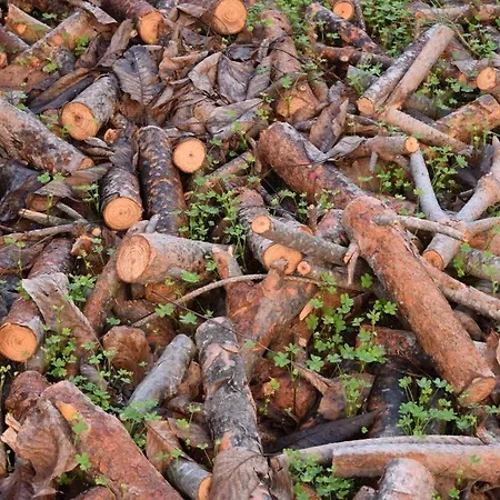 Apartmán Agnandi Néos Pírgos